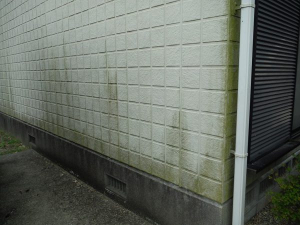 image009