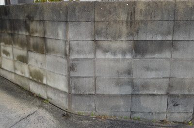 ブロック塀塗装前