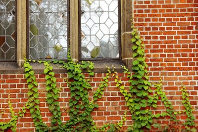 windows-217255_1280