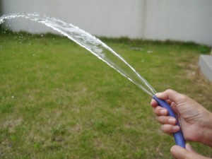 掃除