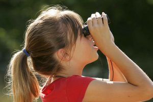 image032