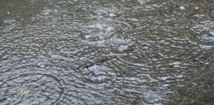 雨