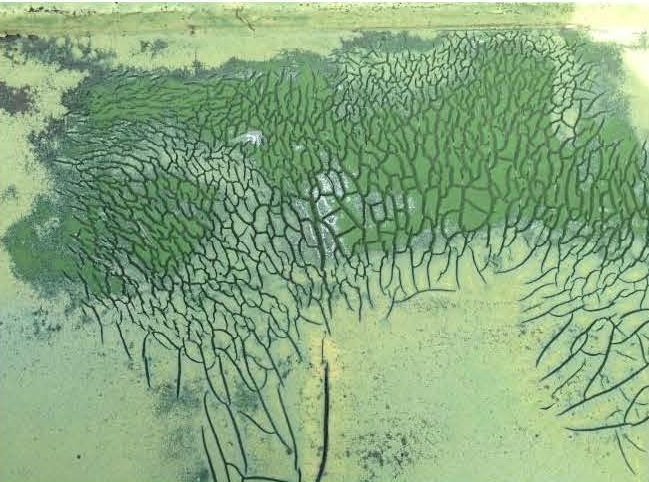 防水