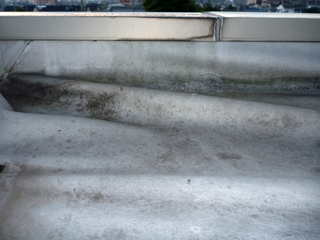 P1040427-320