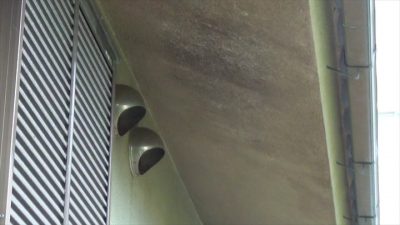 軒天のカビ