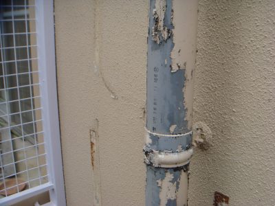 dsc03679