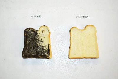 防カビ実験