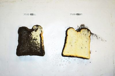防カビ実験