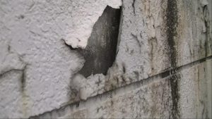 外壁の塗膜の浮きや剥がれ