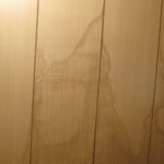 天井からの漏水やシミ