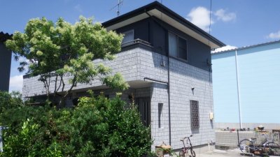 白を基調とした塗分け