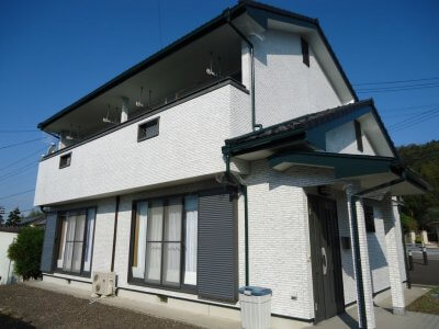 白を基調とした塗分け