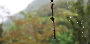 雨が降る様子