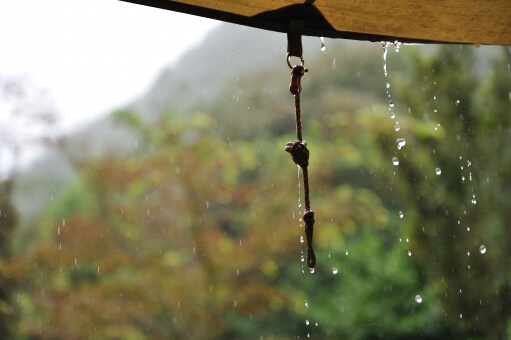 雨が降る様子