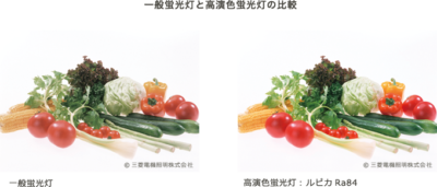 色の見え方比較