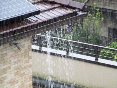 強い雨が降っている様子