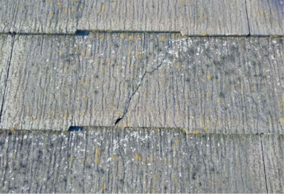 スレート屋根にカビ・コケが発生している様子