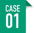 CASE 01